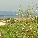 Gina Скаури